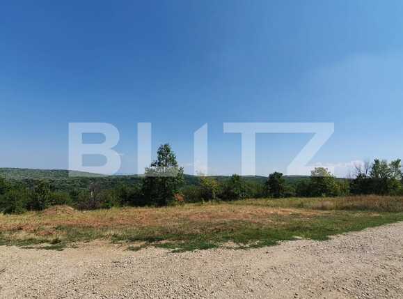 Teren de vânzare Saldabagiu de Munte - 94356TV | BLITZ Oradea | Poza4