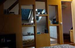 Oportunitate! Apartament la casa, 2 camere, 71 mp, in zona Ultracentrala