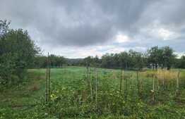 Casa de 80 mp, 3800 mp teren, Felcheriu