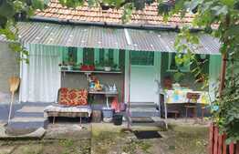 Casa de 80 mp, 3800 mp teren, Felcheriu