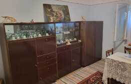 Casa de 80 mp, 3800 mp teren, Felcheriu