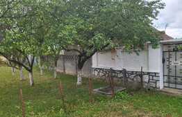 Casa de 80 mp, 3800 mp teren, Felcheriu