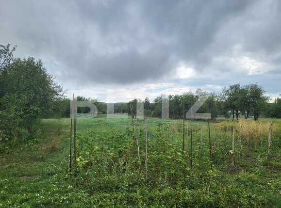 Casa de vânzare 3 camere Osorhei - 94685CV | BLITZ Oradea | Poza10