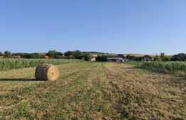 Teren intravilan, 3.300 mp, Sântelec