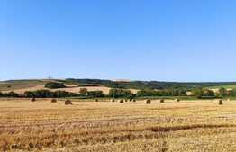Teren intravilan, 3.300 mp, Sântelec