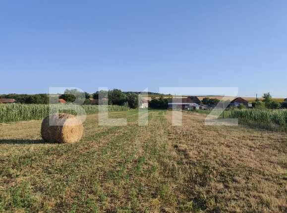 Teren de vânzare Exterior Sud - 94686TV | BLITZ Oradea | Poza2