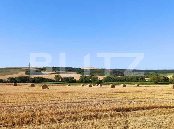 Teren de vânzare Exterior Sud - 94686TV | BLITZ Oradea | Poza1