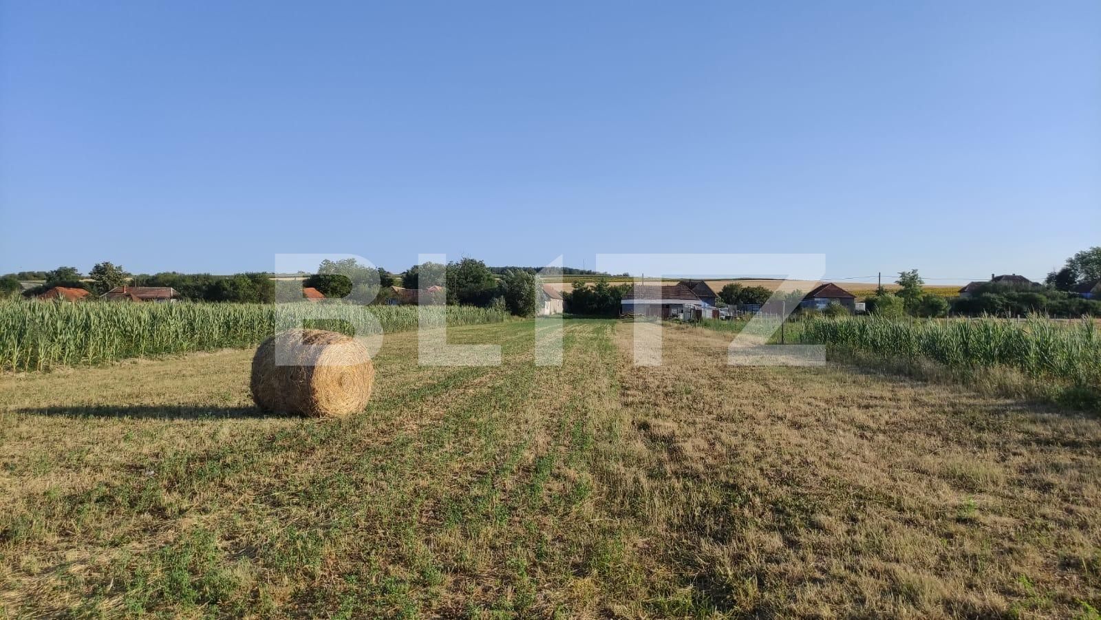 Teren de vânzare Exterior Sud - 94686TV | BLITZ Oradea | Poza2