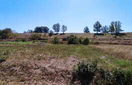 Teren industrial, 1561 mp, Borsului