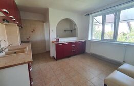 Casă de 6 camere ÎN Nufarul LOTUS 230 mp cu teren 490 mp