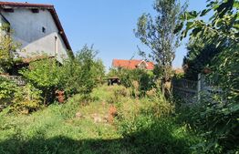 Casă de 6 camere ÎN Nufarul LOTUS 230 mp cu teren 490 mp