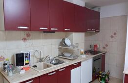 Casă de 6 camere ÎN Nufarul LOTUS 230 mp cu teren 490 mp