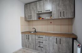 Apartament de 3 camere, 63 mp utili, mobilat, zona Decebal