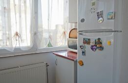 Apartament de 3 camere, 63 mp utili, mobilat, zona Decebal