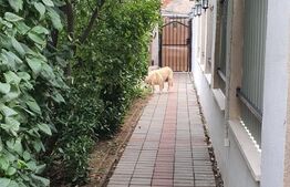 Casă de 4 camere, teren de 534 mp, în Oncea