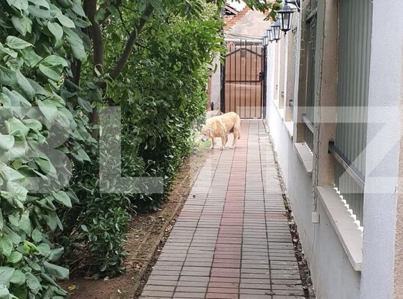 Casa de vânzare 4 camere Oncea - 95611CV | BLITZ Oradea | Poza3