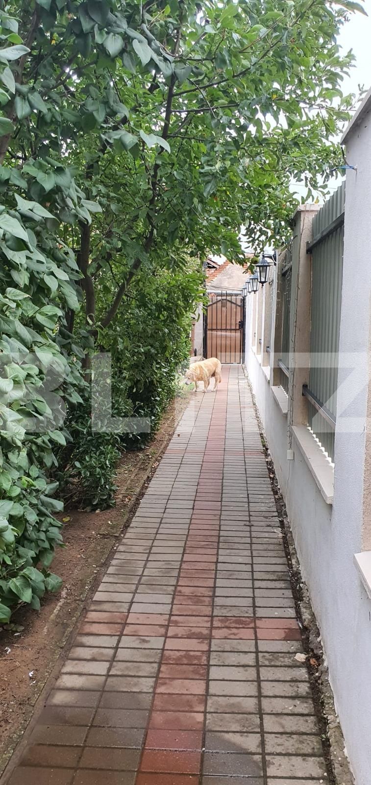 Casa de vânzare 4 camere Oncea - 95611CV | BLITZ Oradea | Poza3