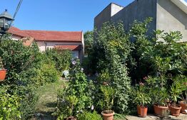 Casa formată din 3 apartamente, 794 mp teren, curte privata, zona Centrală