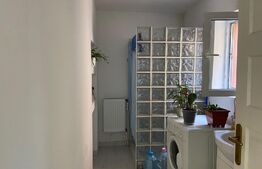 Casa formată din 3 apartamente, 794 mp teren, curte privata, zona Centrală