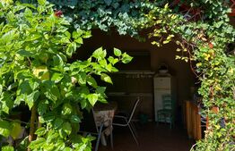 Casa formată din 3 apartamente, 794 mp teren, curte privata, zona Centrală