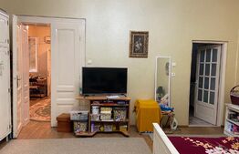 Casa formată din 3 apartamente, 794 mp teren, curte privata, zona Centrală