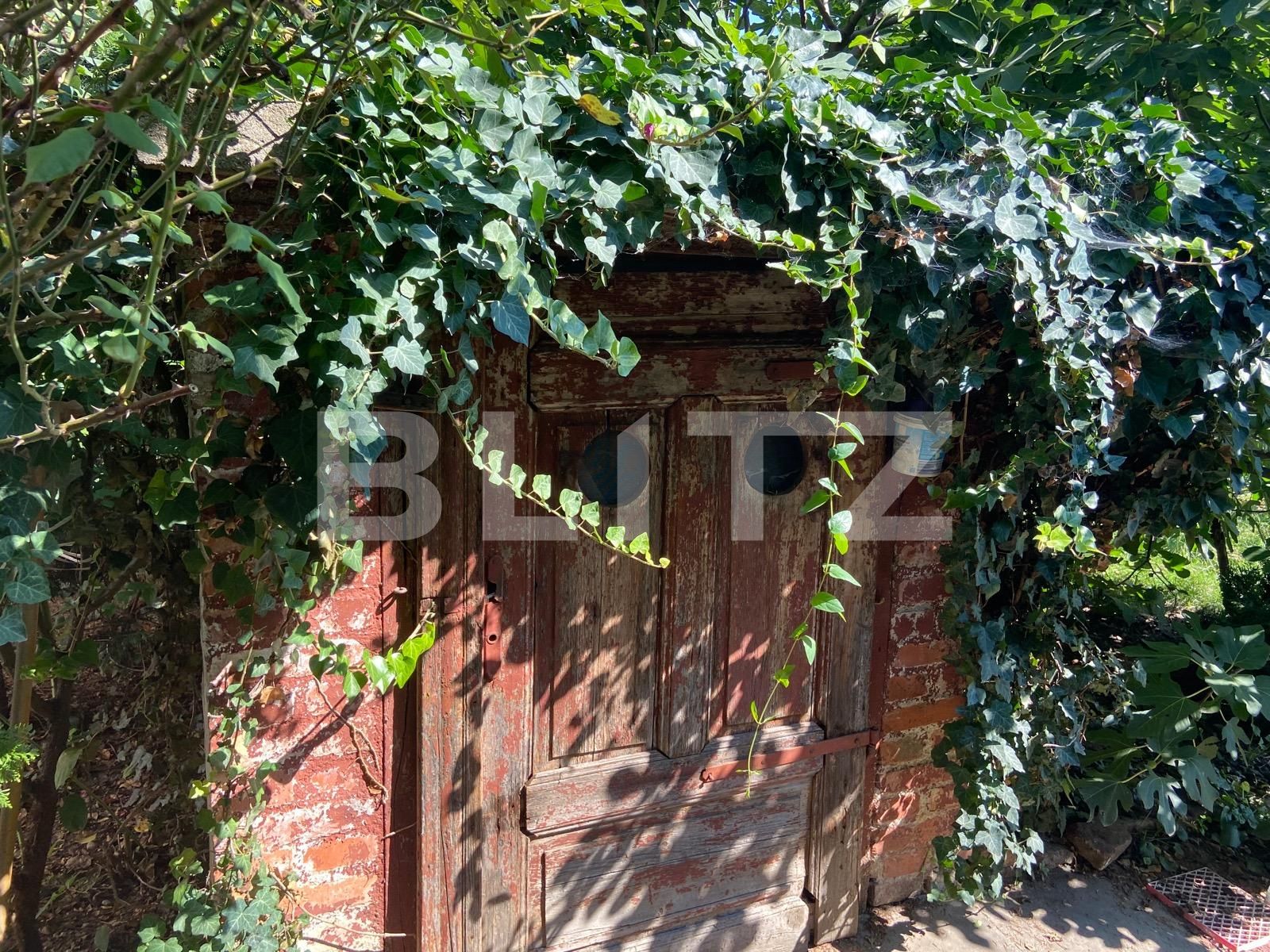 Casa de vânzare 7 camere Olosig - 95613CV | BLITZ Oradea | Poza17