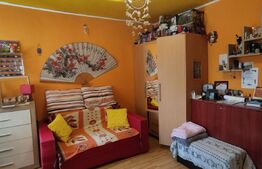 Garsoniera de 24 mp, zona Iosia