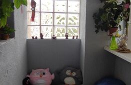 Garsoniera de 24 mp, zona Iosia