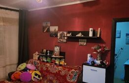 Apartament de 2 camere, 32 mp, Nufarul