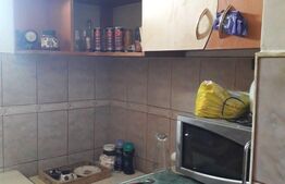 Garsoniera de 21 mp, etaj intermediar, zona Uzinelor