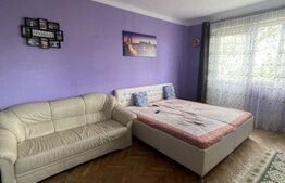 Apartament 2 camere, 52 mp, etaj intermediar, zona Centrala