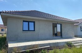 Casa noua, 3 camere, 667 mp teren, Santandrei