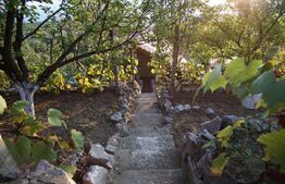 Casa de 4 camere, 205 mp, teren 542 mp in Episcopia