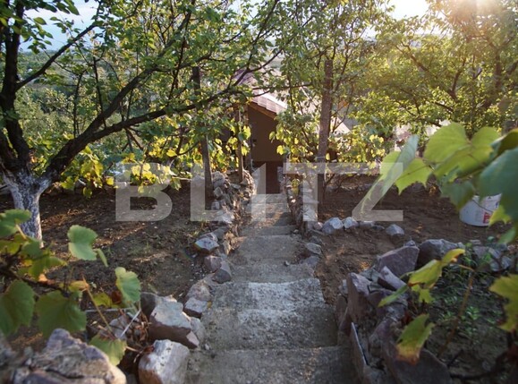 Casa de vânzare 4 camere Episcopia Bihorului - 96220CV | BLITZ Oradea | Poza5