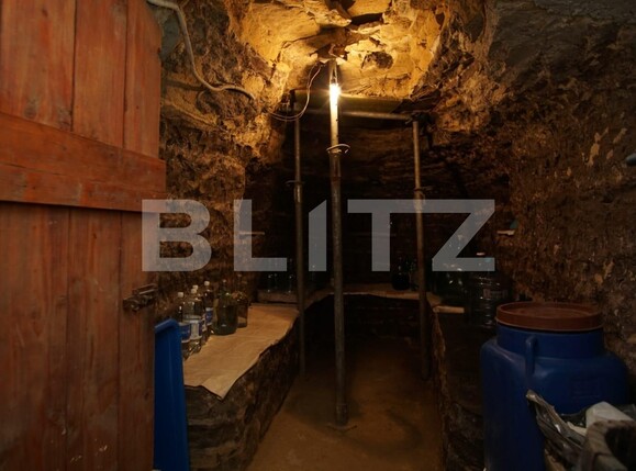 Casa de vânzare 4 camere Episcopia Bihorului - 96220CV | BLITZ Oradea | Poza18