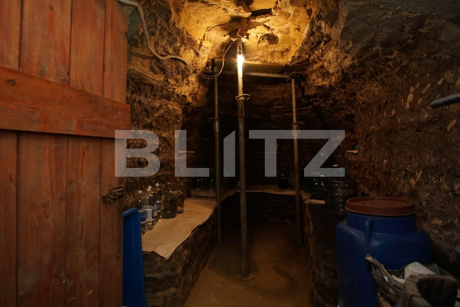 Casa de vânzare 4 camere Episcopia Bihorului - 96220CV | BLITZ Oradea | Poza18