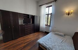 Garsoniera, decomandata, 25 mp, Ultracentral