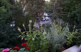 Apartament de 2 camere, 41 mp, etaj intermediar, Rogerius