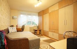 Apartament de 2 camere, 41 mp, etaj intermediar, Rogerius