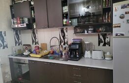 Casa de 190 mp, 520 mp curte, in Paleu