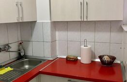 Garsoniera de 28 mp, mobilata si utilata, zona Rogerius