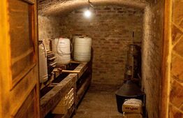 Casă de 165 mp utili, teren 565 mp, în Paleu