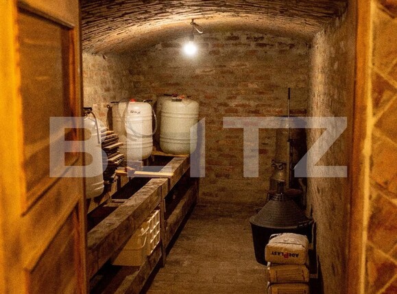 Casa de vânzare 5 camere Paleu - 97493CV | BLITZ Oradea | Poza10