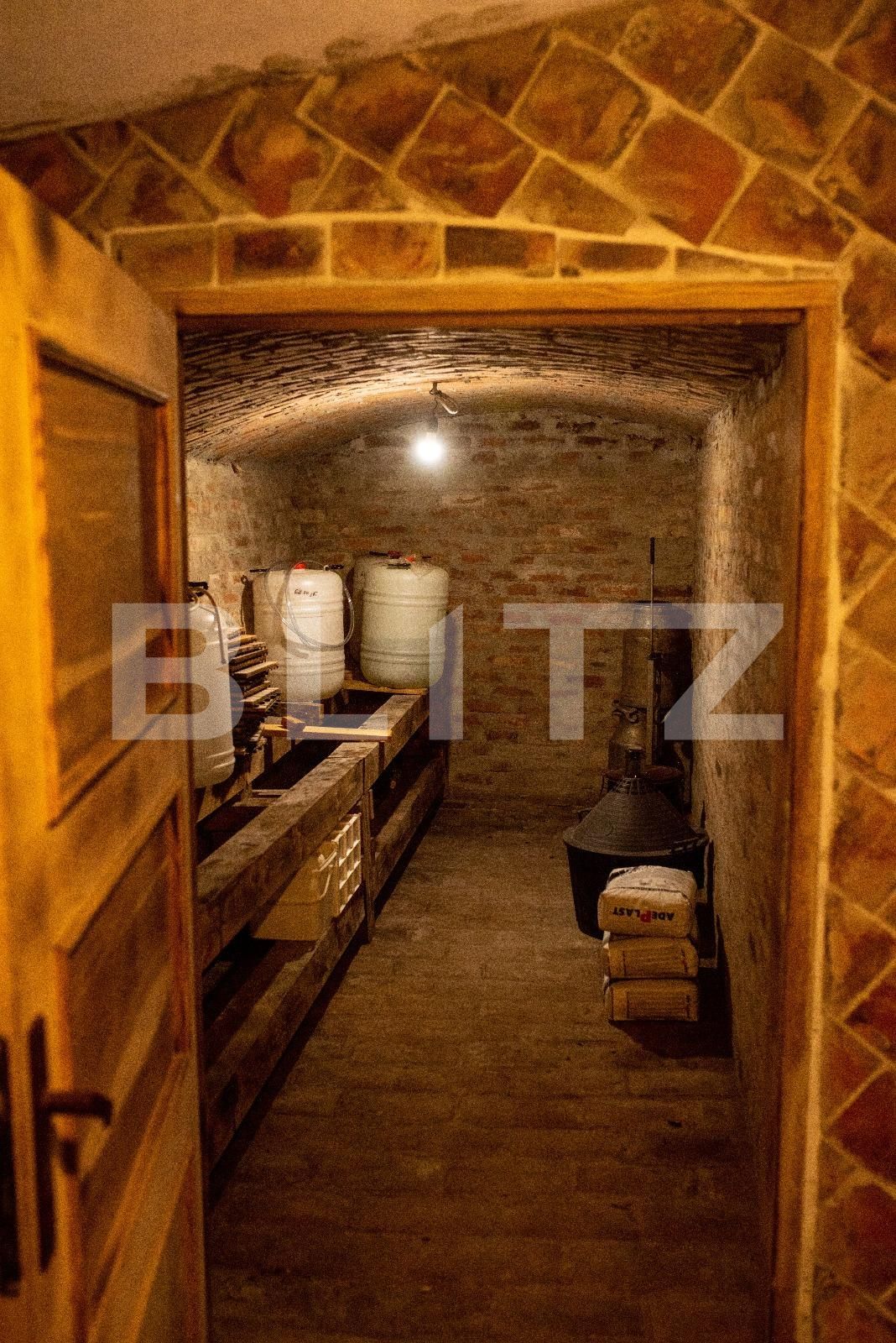 Casa de vânzare 5 camere Paleu - 97493CV | BLITZ Oradea | Poza10