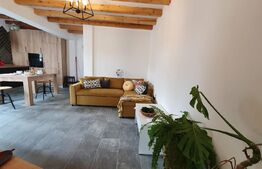 Casă în Cantemir cu 3 camere cu 60 mp utili cu 127 mp teren