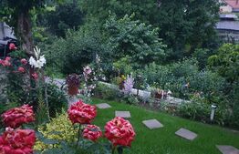 Casă de 3 camere la 1 minut de MAGHERU. 87 mp utili cu teren 350 mp