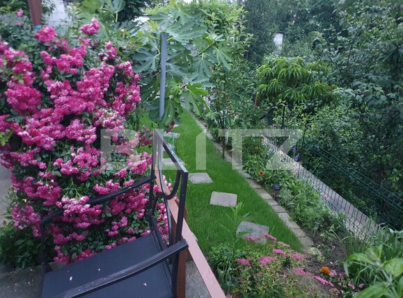 Casa de vânzare 3 camere Spitalul Judetean - 97842CV | BLITZ Oradea | Poza15