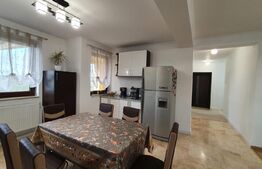 Casa spațioasă cu 4 camere și garaj de 160 mp utilă cu teren 500 mp în Grigorescu