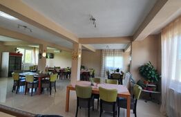 Oportunitate! Vilă de 760 mp, 3000 mp teren, în Băile Felix