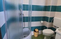 Oportunitate! Vilă de 760 mp, 3000 mp teren, în Băile Felix